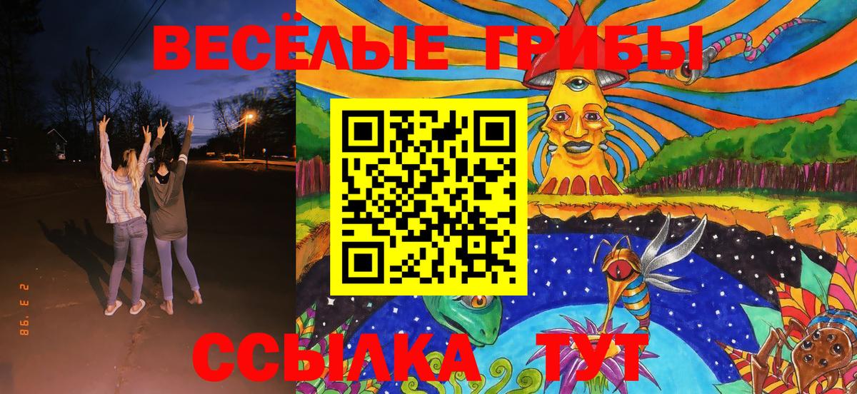 Йошкар-Ола  Псилоцибиновые грибы ЛСД  Вход с VPN  Галлюциногенные грибы Psilocybine cubensis 